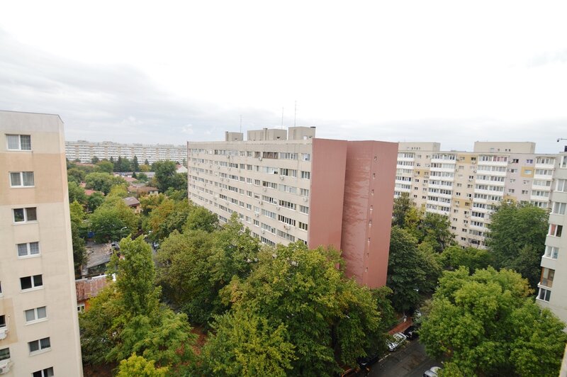 Baba Novac, Campia Libertatii,